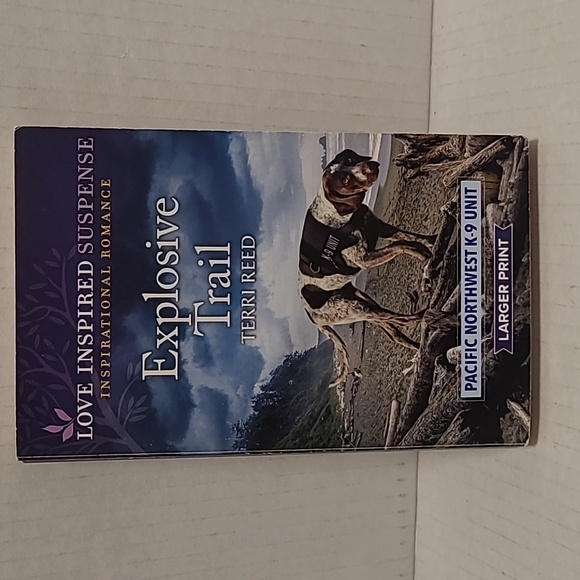 10 Large Print Love Inspired Suspense Inspirational Romance Paperback Books - Picture 7 of 16